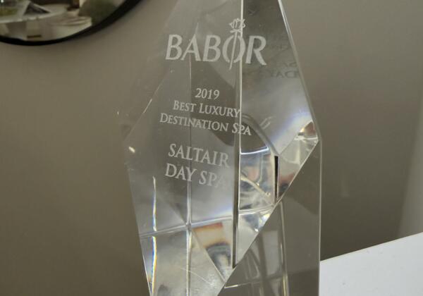 Babor 2019 Best Luxury Destination Spa Saltiar Day Spa