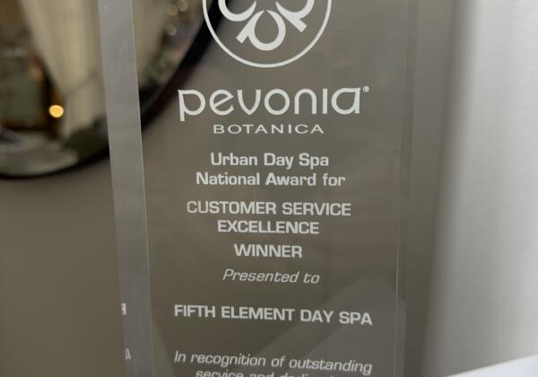 Pevonica Customer Service Excellence 2011 Award Fifth Element