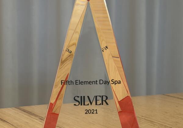 Silver 2021 Inskin Fifth Element Award